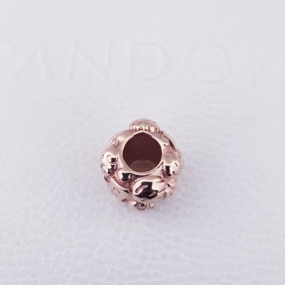 👨‍👩‍👧‍👦 Authentic Pandora ROSE FAMILY CHARM - Picture 5 of 7